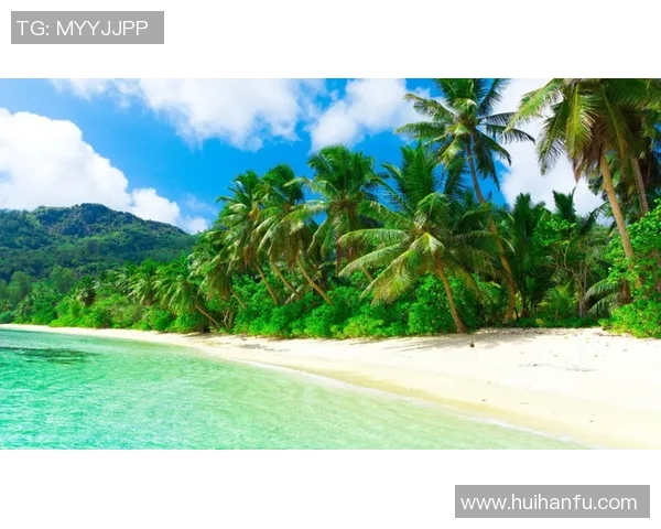 足球明星高清绿色壁纸精选展现运动魅力与自然和谐之美 足球明星高清绿色壁纸精选展现运动魅力与自然和谐之美